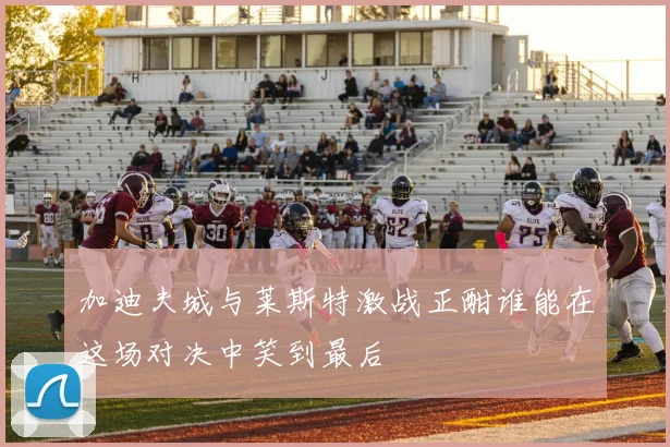 加迪夫城与莱斯特激战正酣谁能在这场对决中笑到最后