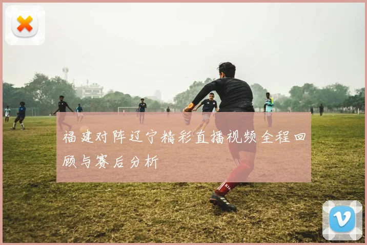 福建对阵辽宁精彩直播视频全程回顾与赛后分析