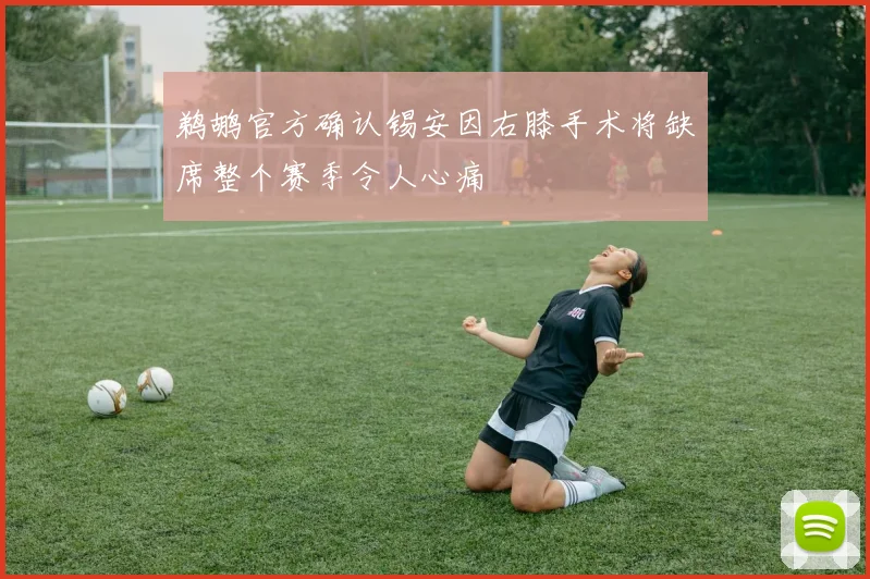 鹈鹕官方确认锡安因右膝手术将缺席整个赛季令人心痛