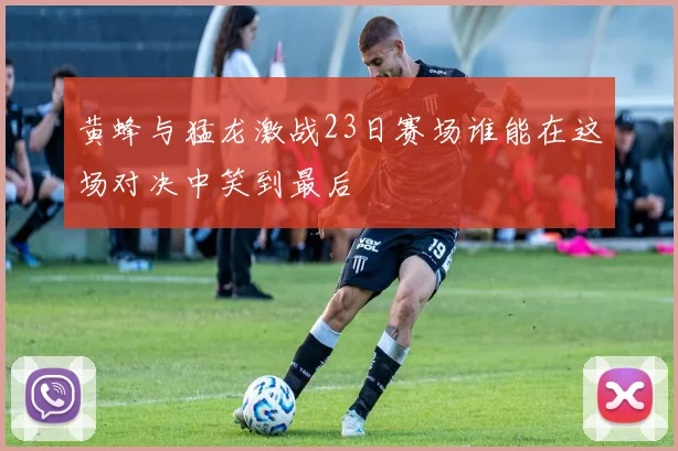 黄蜂与猛龙激战23日赛场谁能在这场对决中笑到最后