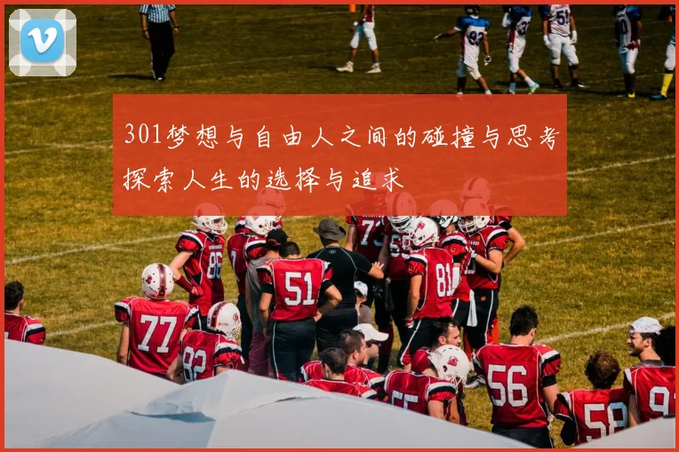 301梦想与自由人之间的碰撞与思考探索人生的选择与追求