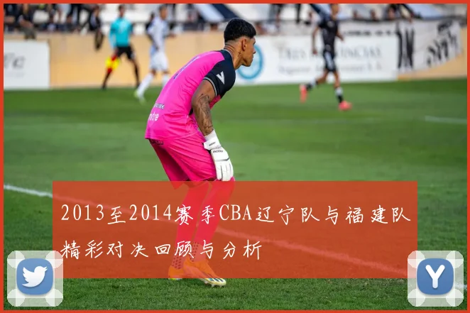 2013至2014赛季CBA辽宁队与福建队精彩对决回顾与分析