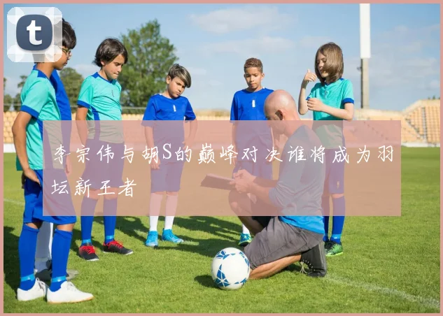 李宗伟与胡S的巅峰对决谁将成为羽坛新王者