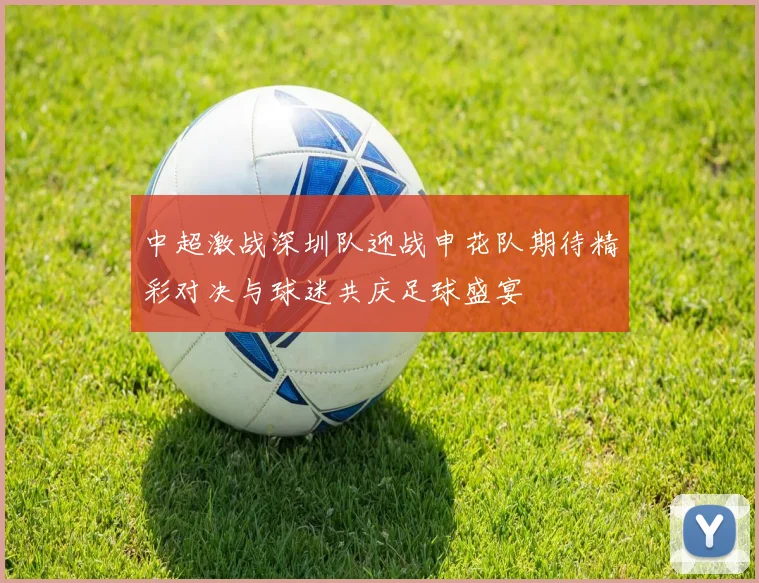 中超激战深圳队迎战申花队期待精彩对决与球迷共庆足球盛宴