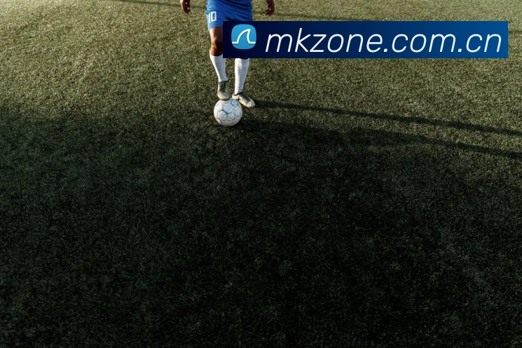 MK体育发展历程